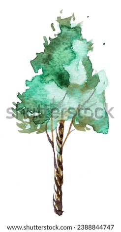 Watercolor hand painted tree isolated on white. Garden illustration. Nature concept design.