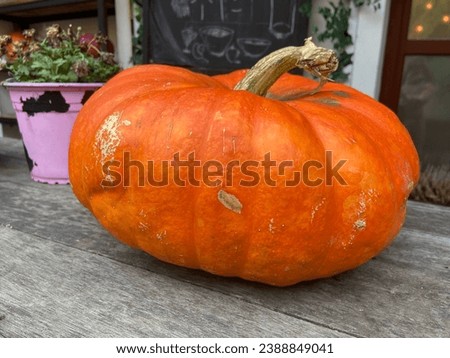 Big orange pumpkin on the porch.

