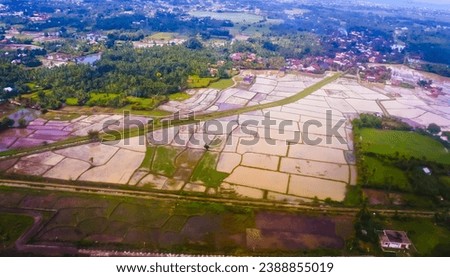 Aerial view of rice fields in Aceh, Indonesia