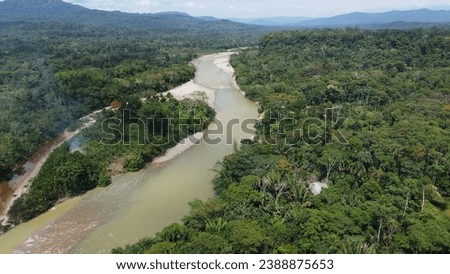 aerial photo of the Amazon rainforest
