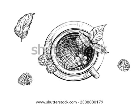 Hand drawn sketch black and white illustration cup of tea raspberry, leaf, berry. Vector illustration. Elements in graphic style label, sticker, menu, package. Engraved style.