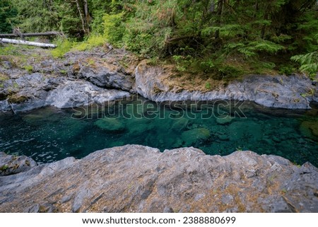 Olympic National Park Forest and River Royalty-Free Stock Photo #2388880699