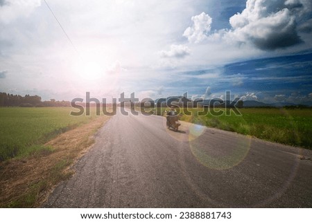 Person rides motorcycle ahead on a country road in asian country passing through vast rice field under blazing sun alone. Royalty-Free Stock Photo #2388881743