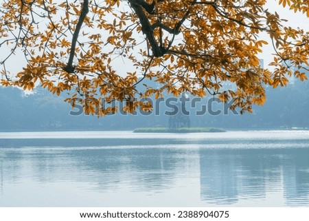 Autumn landscape yellow leaves on tree on Hoan Kiem lake, Hanoi, Vietnam. Turtle Tower (thap rua) on background