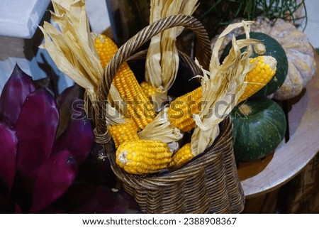 Dried corn is a vital food crop with significant importance in various diets worldwide.