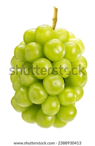 Shine Muscat Grape with on white backgroung, Sweet Shine muscat geen grape isolate on white with clipiing path. Royalty-Free Stock Photo #2388930413
