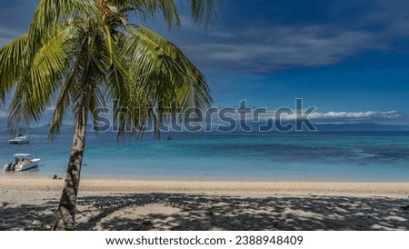 A palm tree leaned over the beach. Shadows on the sand. Sprawling green leaves against a blue sky and clouds. White boats are visible in the calm turquoise ocean. Madagascar. Nosy Tanikeli   Royalty-Free Stock Photo #2388948409