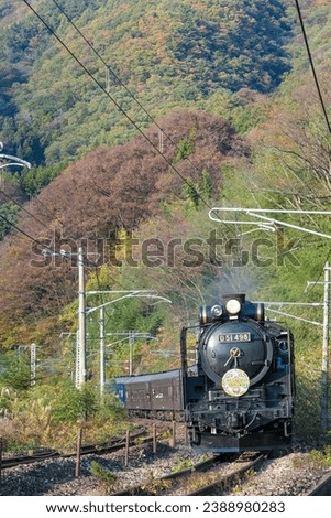 Joetsu Line steam locomotive running through autumn leaves Royalty-Free Stock Photo #2388980283
