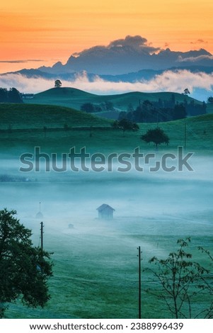 Beautiful scenic of golden surnise over green hill with lonely tree and wooden hut in foggy during summer at Hirzel, Zug, Switzerland Royalty-Free Stock Photo #2388996439