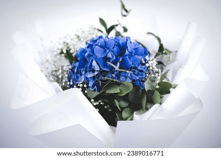 A bouquet of flowers in a vase. Hydrangea flowers. Blue flowers on a white background.