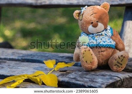 Teddy bear sitting alone on the bench in the park, looking at the distance Royalty-Free Stock Photo #2389061605