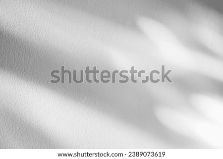 White Wall background with Shadow leaves,light on Texture,Empty Exterior Concrete floor with sunlight reflection, Cement with Rough Sureface,Backdrop mock up for Product Present