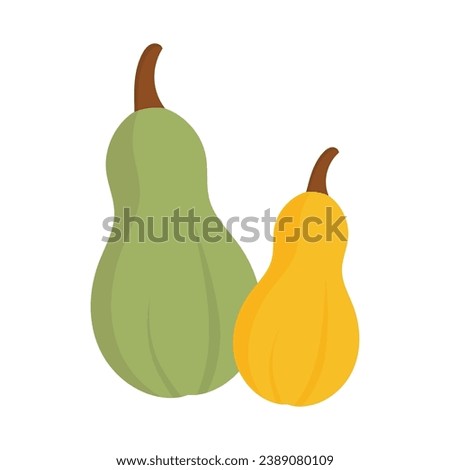 Green and yellow pumpkins. Thanksgiving pumpkins collection. Trendy decorative vector illustration. 