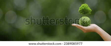 Concept for World sustainable environment, ESG, Co2, and Net zero. Hand holding green earth with tree for Save our Planet, World Environment Day, World Earth Day, green business and Climate change.
