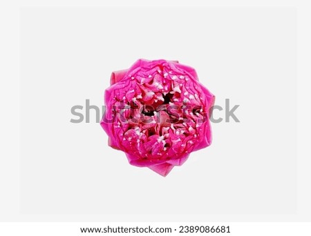 The white background in the center of the picture is a pink lotus flower that is decorated with pleated petals to look beautiful and used as an offering to monks, and in the middle of the flower there