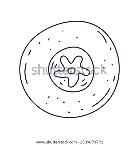 Blueberry sketch. hand drawn Blueberry outline illustration. Blueberry black and white vector drawing. Blueberry isolated on white background. vector illustration. Blueberries line art drawing.