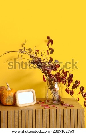 Vase with plant branches, pumpkins and blank picture frame on wooden cabinet near color wall