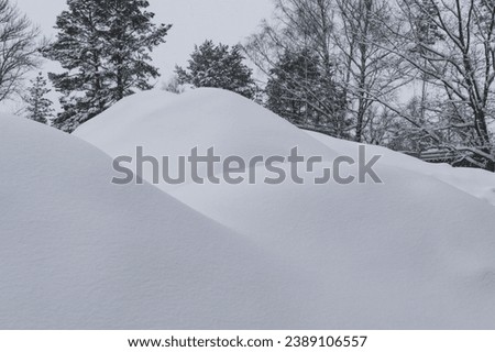 View of a dense snowdrift in a winter forest Royalty-Free Stock Photo #2389106557