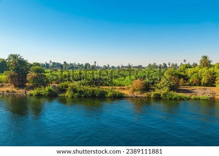 Cultivated fields on the Nile River. Cruise on the Nile. View of the coastline. Aswan, Egypt – October 20, 2023