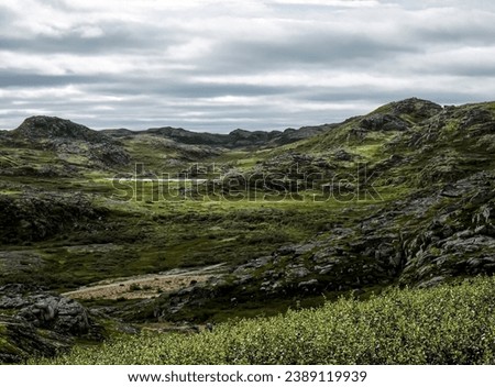Landscape of green polar tundra with rocks and hills. Northern nature of Teriberka, Kola Peninsula, Russia. Loneliness, wild conditions, No people. High quality photo