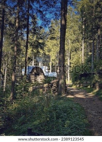 Cute Black Forest witch's house Royalty-Free Stock Photo #2389123545