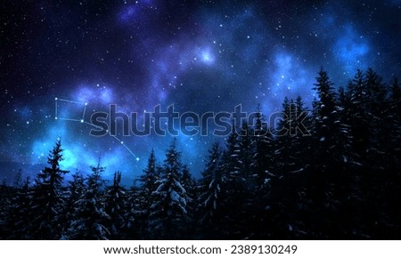 Little Bear (Ursa Minor) constellation in starry sky over conifer forest at night, low angle view Royalty-Free Stock Photo #2389130249