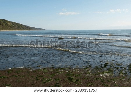 View of the Sea of Okhotsk. Sakhalin. Russia.