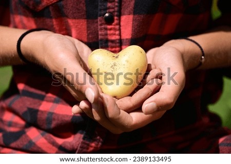 The essence of farming and agriculture, portraying female hands cradling a heart-shaped crop showing significance of agriculture in nurturing and sustaining life, that contributes to our sustenance. Royalty-Free Stock Photo #2389133495