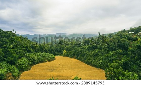 View of Rice fields on terraced at Homestay Ban Huai Hom, An agricultural tourist attraction during the rainy and winter season, Huay Hom, Mae Hong Son, Thailand.