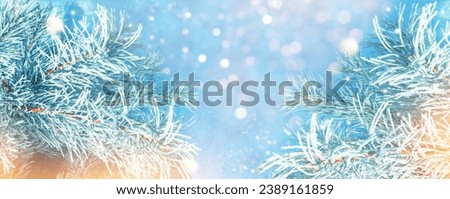 Landscapes. Frozen winter forest with snow covered trees. outdoor. Christmas card. 