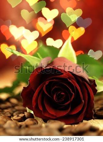 Beautiful flower red rose on a wooden, oak table. Lights in the shape of hearts.                                                                                                     