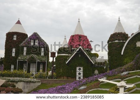 Pictures from Dubai Miracle garden 