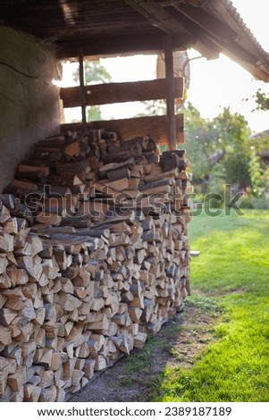 A stack of firewood for the winter in the village