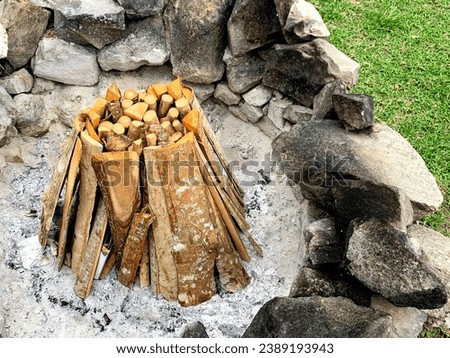 Preparing to make a campfire in winter. Consisting of firewood and stones as a barrier.