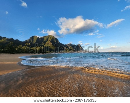 Day in hawaii on a beach