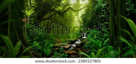 Tropical rain forest with river Royalty-Free Stock Photo #2389227801