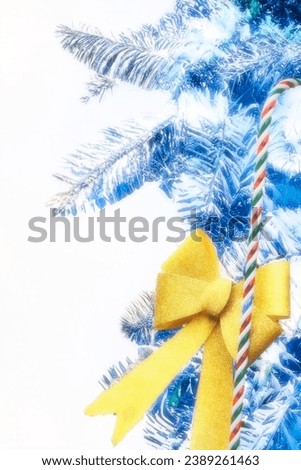 an isolated picture of pine christmas tree branches with green needles