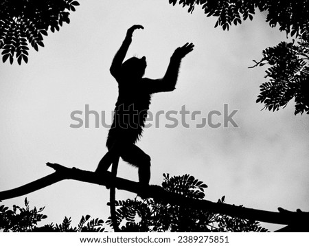 "Long-Nosed Monkey or Proboscis Monkey" silhoutte photo in black and white format with grainy