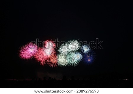 Iwate Sanriku Spring Fireworks Festival in Japan 
