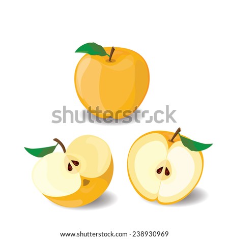Apple yellow sweet vector 4