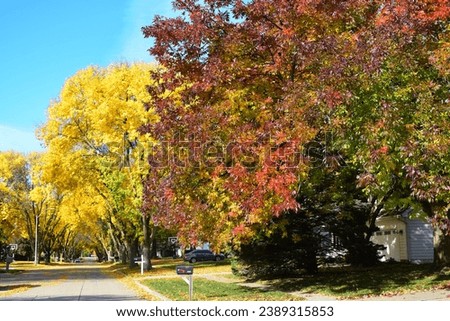 Enchanting Fall: Capturing the Beauty of Changing Seasons
