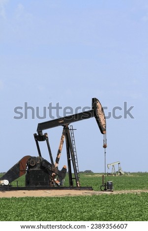 Oil Well pump in a farm field with green corn south of Ellsworth Kansas USA.