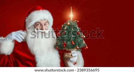 Merry Christmas and a Happy New Year! Cheerful Santa Claus holds a small Christmas tree in his hand. Festive red background with copy space.