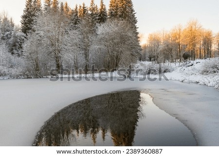 Open water in a frozen pond in winter Royalty-Free Stock Photo #2389360887