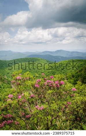 The Blue Ridge Parkway, Famous Road linking Shenandoah National Park to Great Smoky Mountains National Park