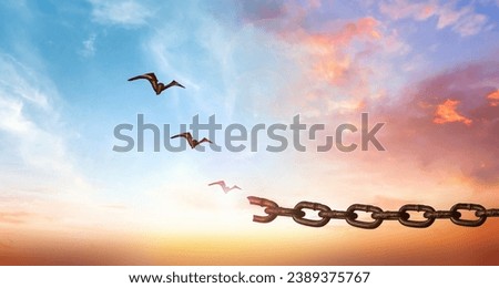 hope concept, Bird flying and broken chains over blurred nature sunrise background