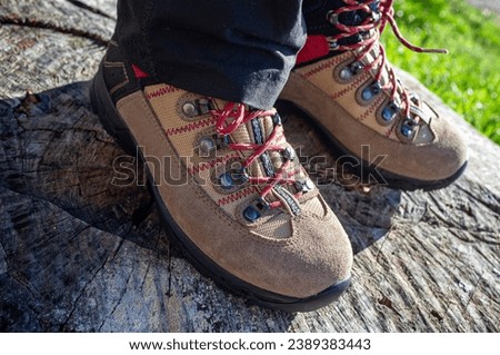 Close-up of new mountain boots on a child's feet, atop a tree stump
