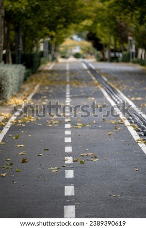 A bike path surrounded by trees and dry leaves