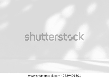 Empty white gray room studio background with sunlight effect shadow of leaves on concrete wall and floor. Summer backdrop. Minimal mock up for display product. Product presentation hall.