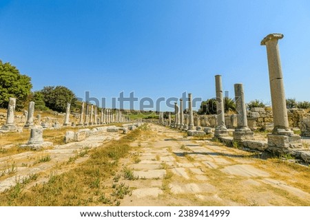 through the ruins of Perge Agora, profound connection to the past allowing travelers to envision dynamic energy of ancient marketplace and appreciate enduring legacy of Turkey's rich cultural heritage Royalty-Free Stock Photo #2389414999